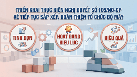 Văn phòng UBND tỉnh triển khai thực hiện Nghị quyết số 105/NQ-CP về tiếp tục sắp xếp, hoàn thiện tổ chức bộ máy