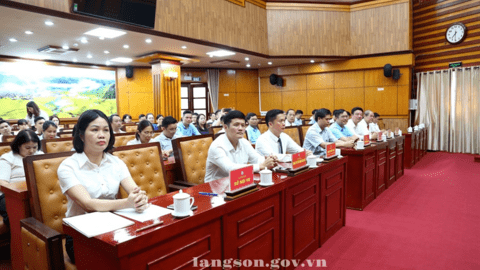 Công bố Quyết định của Chủ tịch UBND tỉnh về việc điều động và bổ nhiệm chức vụ Phó Chánh Văn phòng UBND tỉnh, Phó Giám đốc Ban Quản lý dự án đầu tư xây dựng công trình giao thông tỉnh